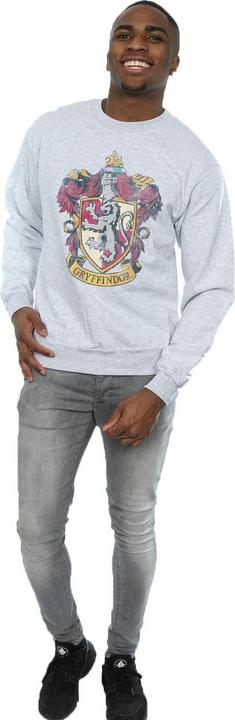 Actual product image Mens Gryffindor Sweatshirt (L)
