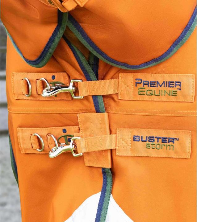 Actual product image Premier Equine Buster Combo 400g (213 cm)