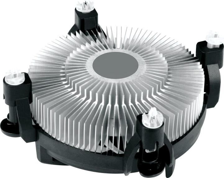Image du produit Arctic Alpine 17 LP (55 mm)