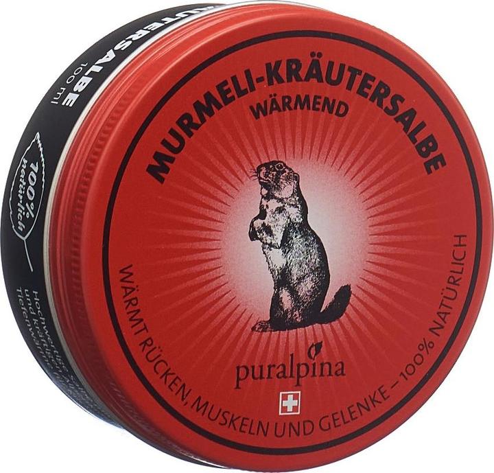 Image du produit Puralpina Pommade aux herbes Murmeli chauffante (1 x, 100 ml, 120 g)