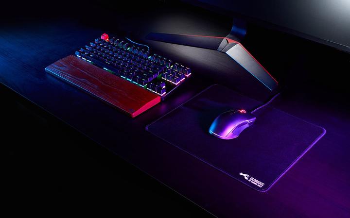 Actual product image Glorious PC Gaming Race G-L (L)