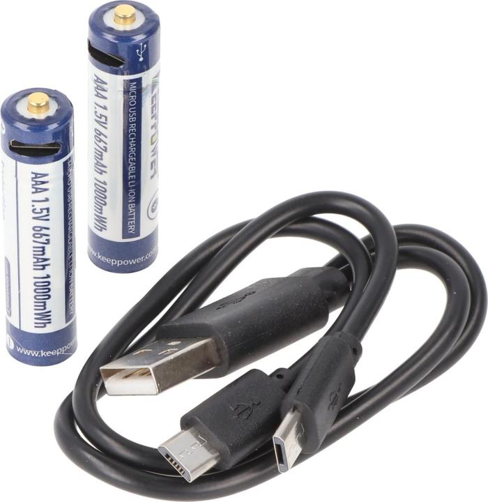 Actual product image Keeppower Rechargeable battery 2 AAA, Micro, AAA, LR03, with USB charging socket (2 pcs., AAA, 667 mAh)
