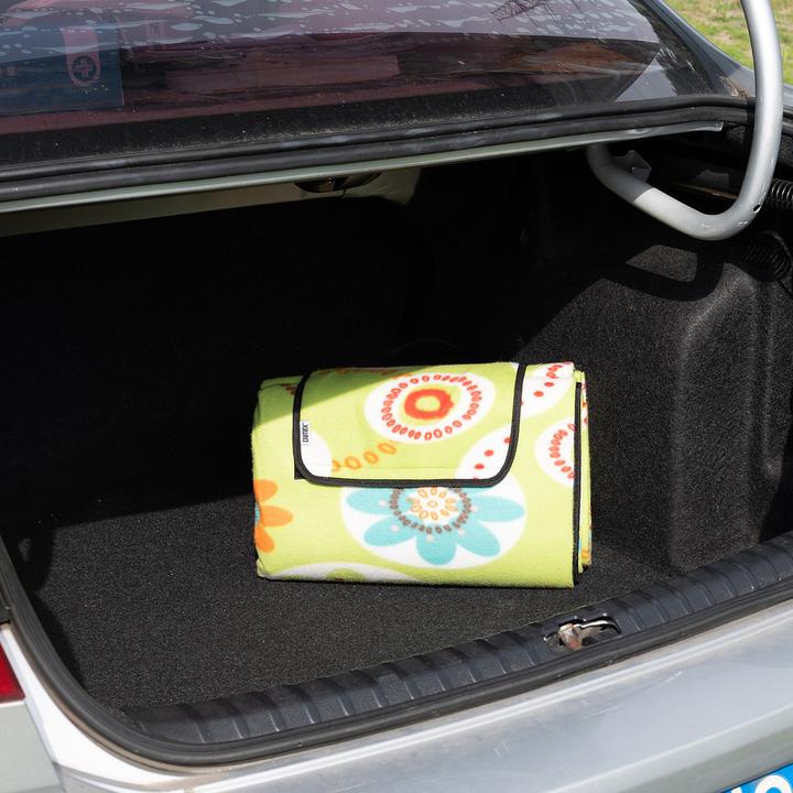 Actual product image Detex Picnic blanket