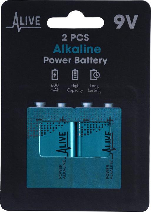 Actual product image Alkaline battery (2 pcs., 9V Block, 600 mAh)