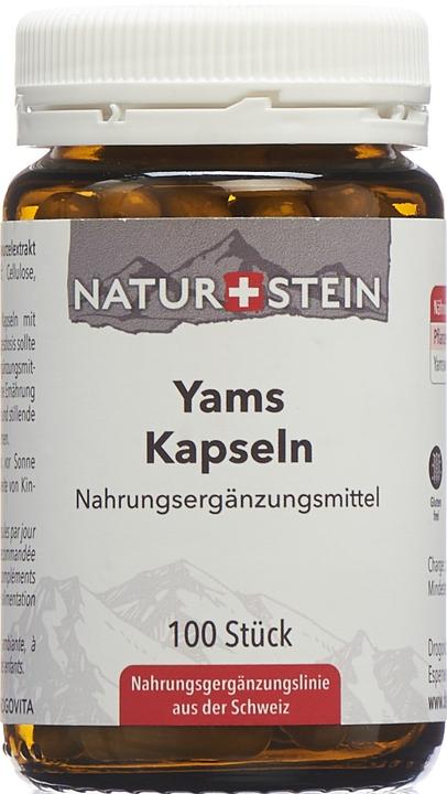 Produktbild Naturstein Yams Kaps Glasfl 100 Stk (100 Stück, Kapseln, 143 g)