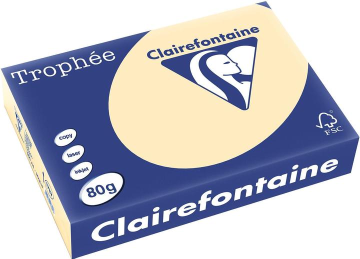 Peau de chamois