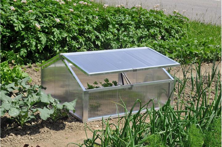 Produktbild Neogard First-Frühbeetkasten