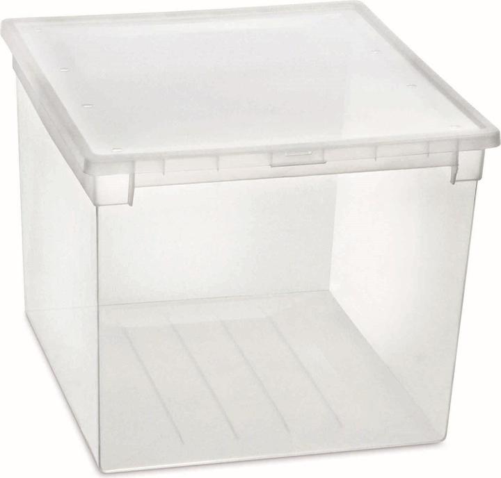 Terry Store-Age Boîte à lumière 52XXL (50 l)