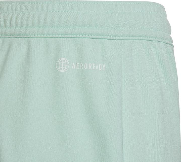Actual product image adidas Entrada 22 Shorts (152)