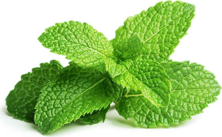 Actual product image Click and Grow Peppermint (Herb seeds)