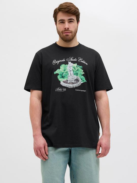 Produktbild Jack & Jones Plus Size T-shirt T-shirt (3XL)
