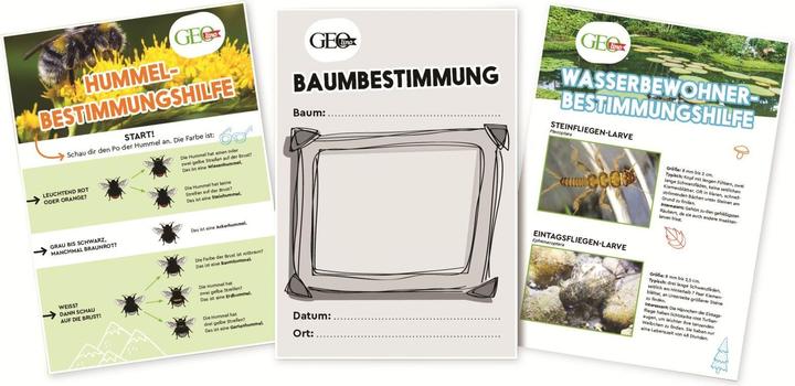 Produktbild Geolino Natur entdecken und erforschen