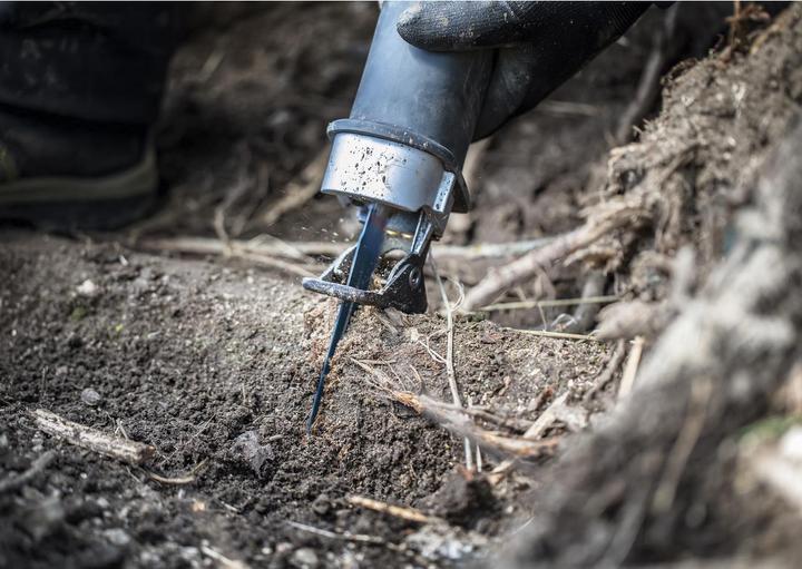 Productafbeelding Bosch Professional Zubehör Expert Taai Hout