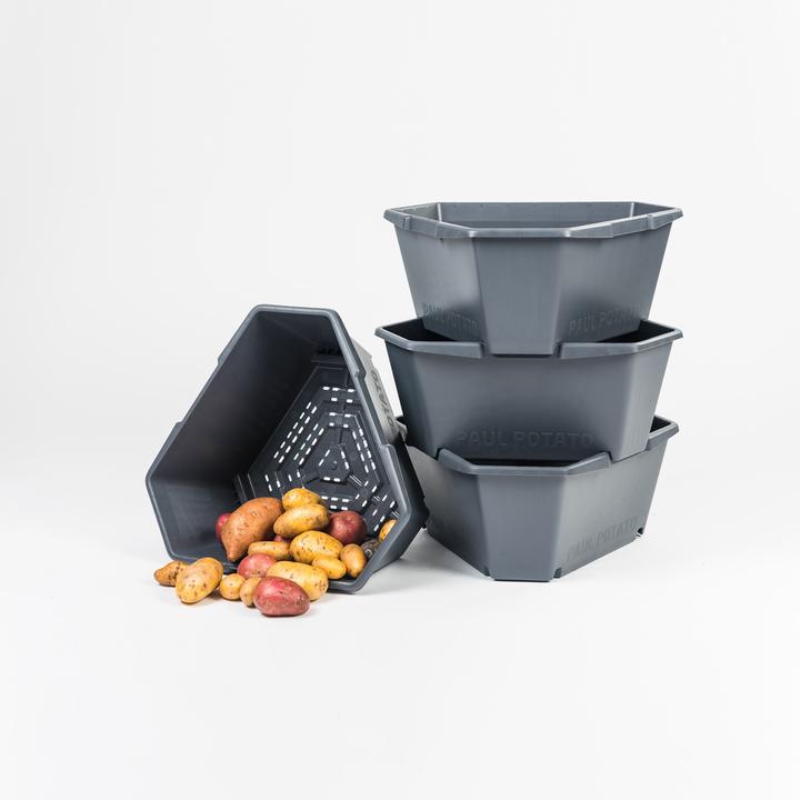 Image du produit Gusta Garden Paul Potato (38.80 cm)