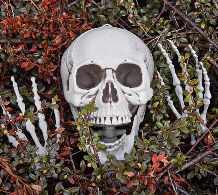 Actual product image TOP Life size skeleton