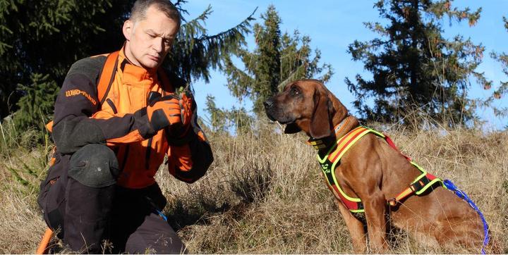 Immagine prodotto Niggeloh Pettorina per cani Segui il sentiero (M, Cane, Sport cane)