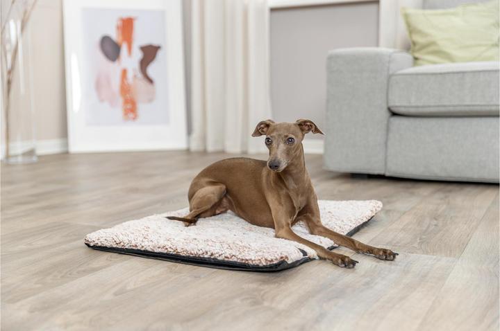 Actual product image Trixie Hunde-Liegematte Calida 60 cm x 45 cm (Dog)