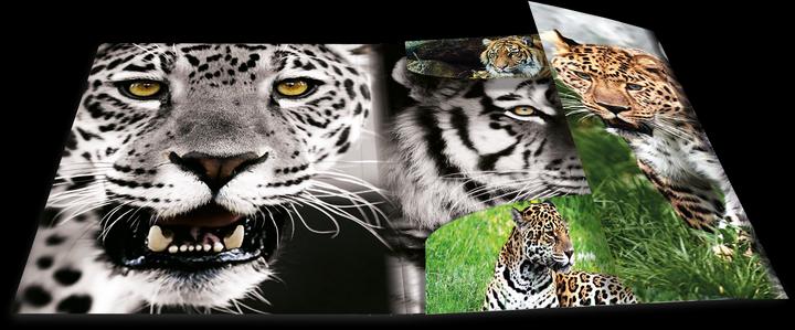 Image du produit HERMA Porte-documents A3 Motif (A3, 1 x)