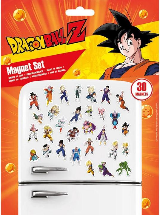 Actual product image Dragon Ball Z Characters Fridge Magnet Set (1 x)