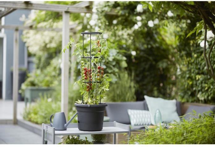 Immagine prodotto Elho Green Basics Pentole per pomodori (33.50 cm)