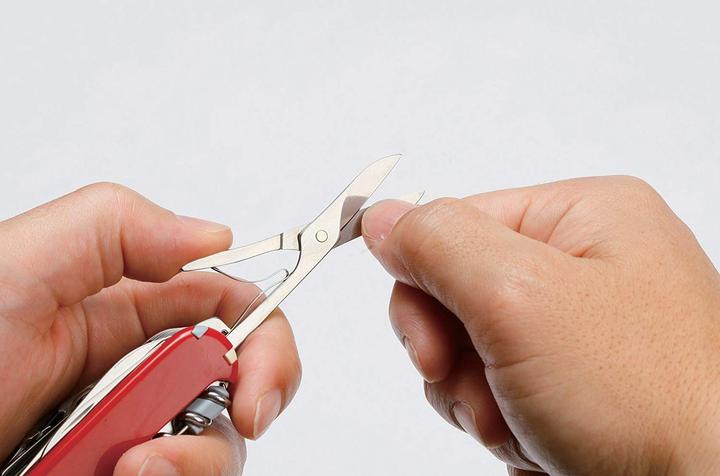 Actual product image Victorinox climber