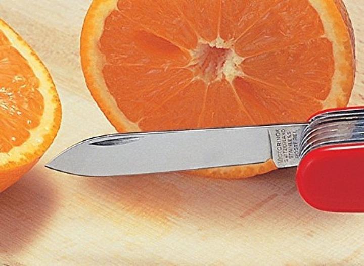 Actual product image Victorinox climber