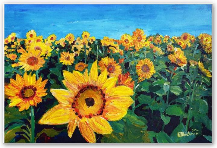 Image du produit Trenddeko Champs de tournesols (45 x 30 cm)