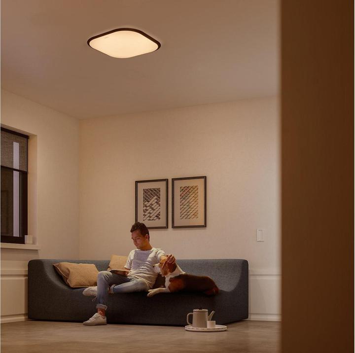 Actual product image Philips Canaval (1500 lm)