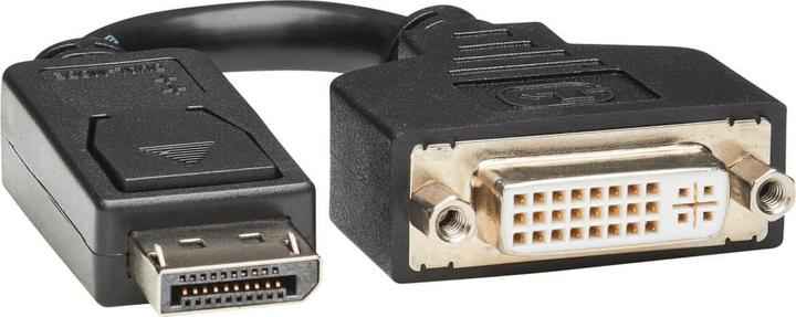 Produktbild V7 Displayport-Dvi Adapter-Blk (DVI, 20 cm)