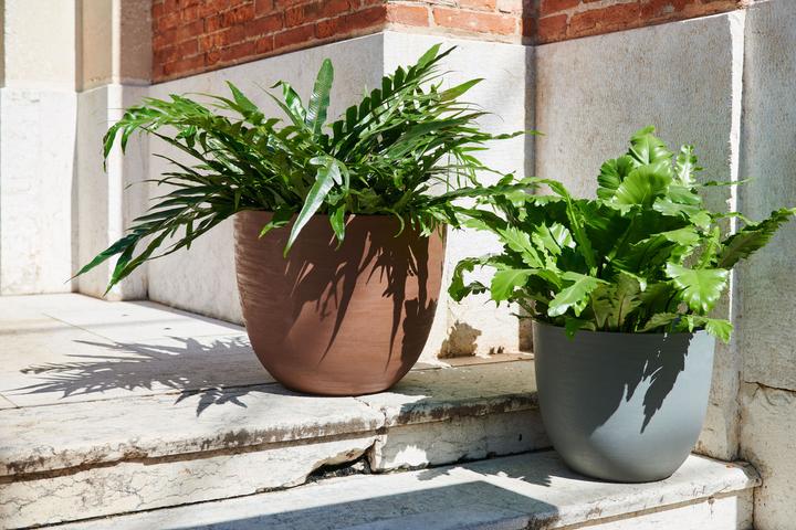 Actual product image Jaco Re Lite Pot Austin