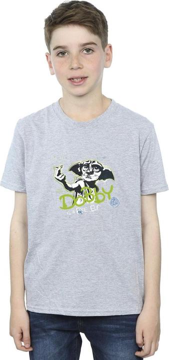 Image du produit - T-shirt DOBBY A FREE ELF - Garçon (152, 158)
