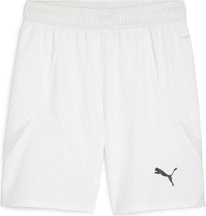 Puma teamFINAL Shorts
