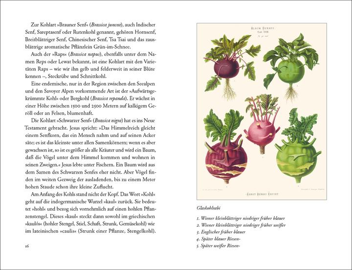 Produktbild Krautwelten (Deutsch, Angelika Overath, 2021)