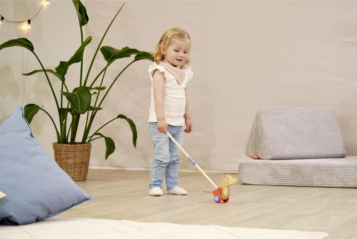 Actual product image Eichhorn EH Duck to push