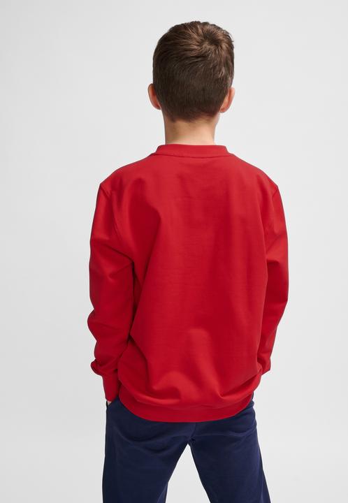 Actual product image hummel Hmlgo 2.0 Sweatshirt Kids (128)