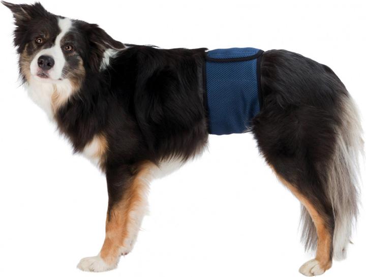 Trixie Rüdenbinde L 55-65cm (L, Hundemantel)