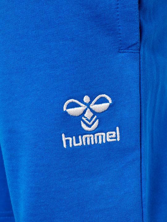 Actual product image hummel Hmlbassim shorts (122)
