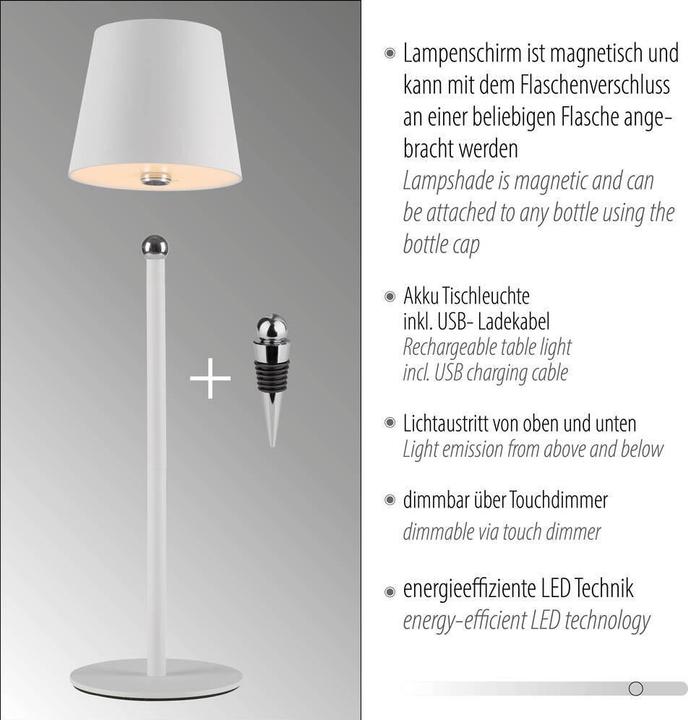 Image du produit Just Light Lampe bouteille à LED (320 lm)
