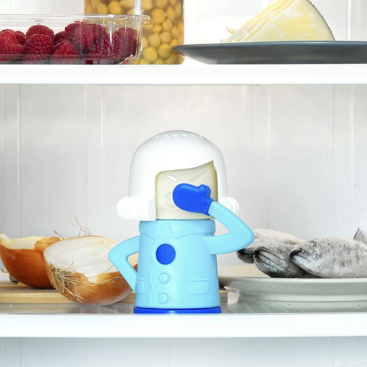 Image du produit TOP Désodorisant pour réfrigérateur