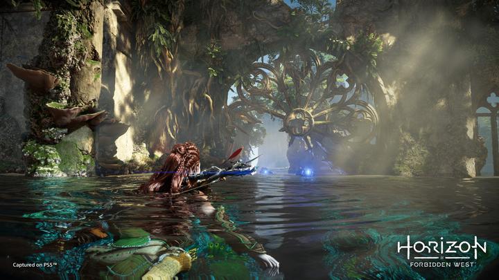 Produktbild Sony Horizon Forbidden West (PS4, EN)
