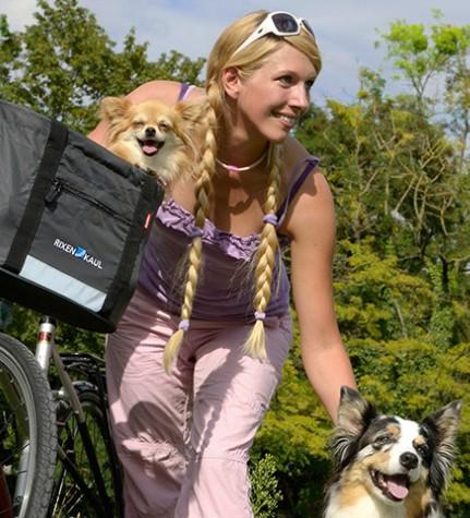 Image du produit KlickFix Panier de guidon pour chien (24 l)