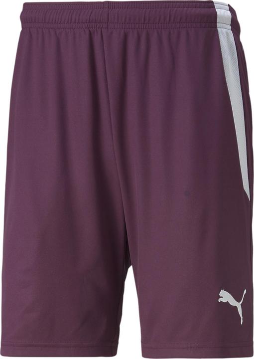 Actual product image Puma teamLIGA shorts (XXL)