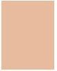 Immagine prodotto Maybelline New York Maybelline - Fit Me Matte Poreless Pressed Powder Face Matting Pudding In Compact 120 Classic Ivory (120 Avorio Classico)