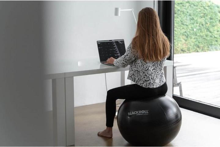Produktbild Blackroll Gymball (65 cm)