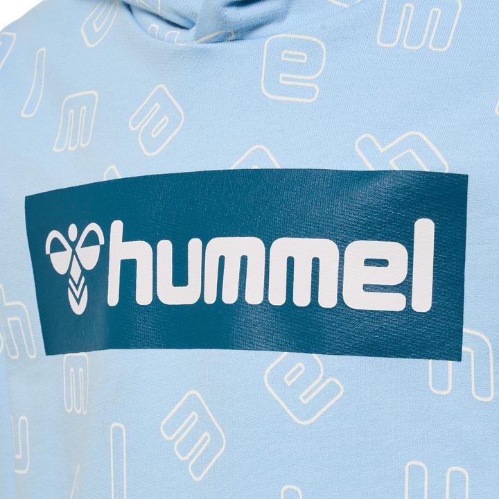 Image du produit hummel Hmlflow Hoodie (128)