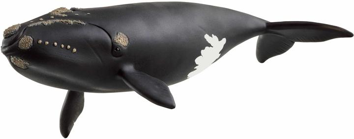 Image du produit Schleich Nordatlantischer Glattwal