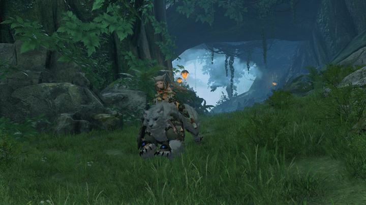 Actual product image Nintendo Xenoblade Chronicles 2 (Switch, DE)