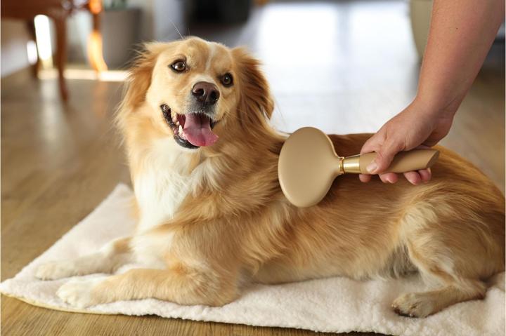Produktbild Magic Brush Softzupfbürste für den Hund (Hund)