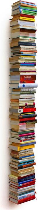 Image du produit haseform Tour du livre (18 x 16,5 x 170 cm)