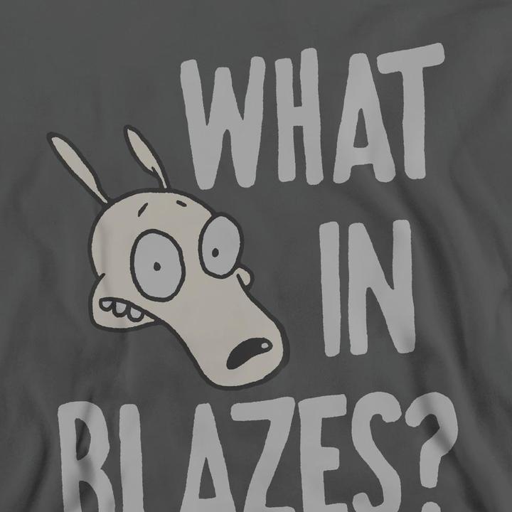 Actual product image Rocko´s Modern Life Unisex Adult What In Blazes? Sweatshirt (XL)